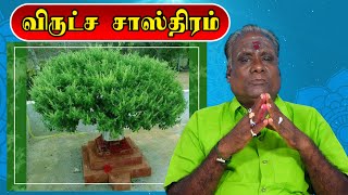 விருச்ச சாஸ்திரம் | VIRUCHA SASTHIRAM |  பிரம்ம ஞான மையம் | ஸ்தபதி. திரு. வீரப்பன்