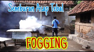 fogging nyamuk || semburan Asap Tebal