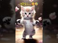 แมวเต้น สัตว์ตลก cat สัตว์โลกน่ารัก maew แมวแสนรู้ dance cat