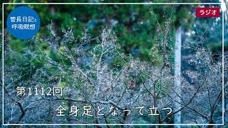 第1112回「全身足となって立つ」2024/1/23【毎日の管長日記と呼吸瞑想】｜ 臨済宗円覚寺派管長 横田南嶺老師