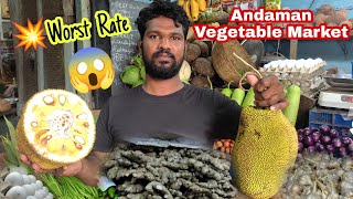 அந்தமான் காய்கறி மார்கெட்-ல் தமிழ் வியாபாரி Fresh Fruit Vegetables | Greengrocers | #andamanvlog