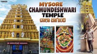 Mysore Chamundi Temple Details In Telugu | Mysore Chamundi Temple || Tamada Media