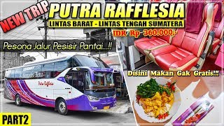 Nge-Bis BENGKULU - JAKARTA Part2 || Pesona Jalur Pesisir Pantai, Naik Bis Putra Rafflesia