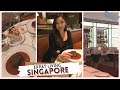 Living in Singapore | Asia Expat Vlog in 2020