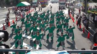 合同連　光　おどるんや紀州よさこい　けやき大通り