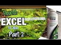 Dosing Flourish Excel for Algae Part 2