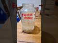 Egg shell & vinegar fertilizer! home made!