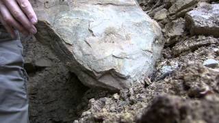 100% Proof that Ancient Construction Stones in the Bosnian Pyramid Complex Were Artificially Texture