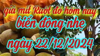 giá mít hôm nay ngày 22/12/2024