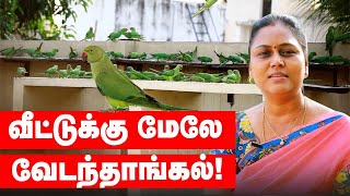 தினசரி கூடும் 500 பறவைகள்...வீட்டுக்கு மேலே வேடந்தாங்கல்!