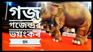 গজ গজেন্দ্ৰৰ ভীষণ যুদ্ধ।গজেন্দ্ৰ উপাখ্যান।Gajo gojendra yudha..।Assamese vauna।।