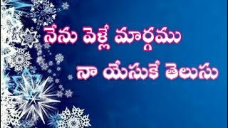 Hosanna ministries song Nenu velle margamu full mp3