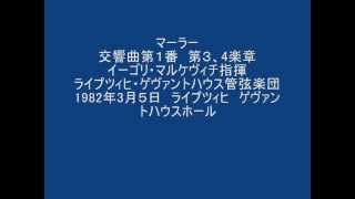 マーラー交響曲第１番　第３，４楽章.wmv