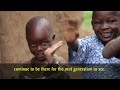 climate protection project stoves for life in kakamega forest kenya – myclimate