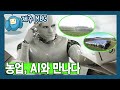 농업, AI와 만나다 (와랑와랑 TV)