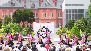 [4K] [Sin]　YOSAKOIソーラン祭り 2023 日曜日