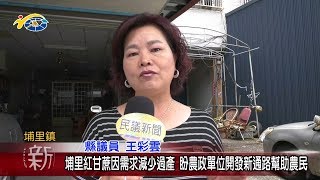 20190711 民議新聞 埔里紅甘蔗因需求減少過產 盼農政單位開發新通路幫助農民(縣議員 王彩雲 陳宜君)