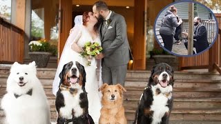 Dogs Help Man With Proposal