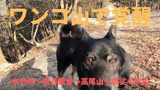 広島お手軽絶景ポイント！　水分峡からワンコと一緒に岩谷観音＆呉娑々宇山登山。