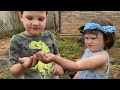 kids bug hunt at grandma s house caleb catches bugs giant snail worms u0026 spiders in backyard