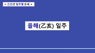 을사년 일주별 운세ㅣ 을해(乙亥) 일주