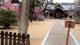 豊里大宮神社