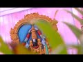 vinayaka chavithi 2024 ఇది ఆచరిస్తే ఆ భగవంతుడే మనల్ని కాపాడుతాడు seasonal sundaravadana