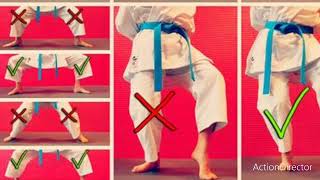 karate stances good & bed postion
