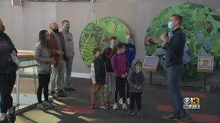 Maryland Science Center Brings Pi Day To Kids With Science Experiments, Types Of Pie