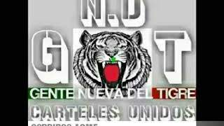 El Tigre Blanco 🐯🍎 C.D.S🍅 G.N