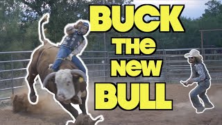 INTERN GETS ON THE NEW MEAN BULLL - Rodeo Time 261