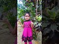 நீல நிற மயில் ஒன்று தோகை விரித்து ஆடுது பாடல் preschool song 4 year baby good song