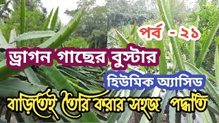 ড্রাগন গাছের বুস্টার হিউমিক অ্যাসিড বাড়িতেই  তৈরি করার সহজ পদ্ধতি (Humic Acid) #krishimitrafarm