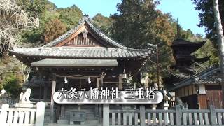 30秒の心象風景2565･神社の仏塔～六条八幡神社三重塔～