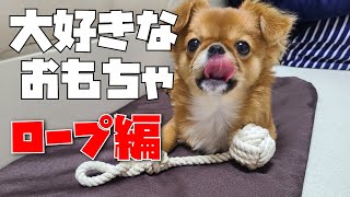 【おもちゃ】犬と一緒に動いて遊ぶロープの引っ張りっこ『おもちゃシリーズ』