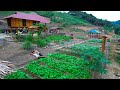 Unexpected big storm, Sang Vy builds a garden to grow clean food, harvests and cooks with her family