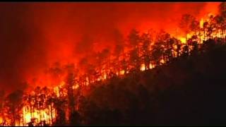 Raw New Jersey Forest Fire Contained