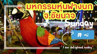 พาเที่ยวงานมหกรรมหุ่นฟางนก จ.ชัยนาจ | HIPPYCORN 🦅🐦🦜🦚