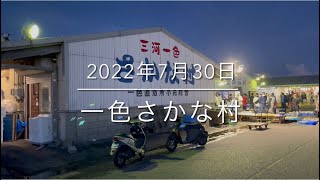 【寿命一年】超高級海老が大量発生⁉︎『一色さかな村』激レア風景