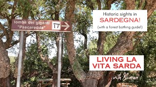 Giant tombs and oldest olive tree in Sardinia!