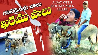 A Day With Donkey Milk Seller || Pradeep thammadi zindagi