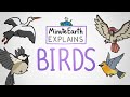 MinuteEarth Explains: Birds