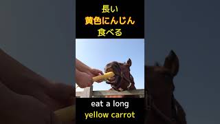 eat a long yellow carrot