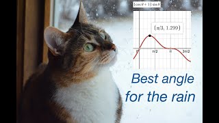 Optimization problem 8 (rain)