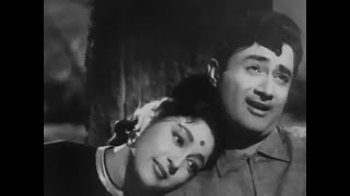 Dheere Dheere Chal... | Love Marriage (1959) | Ravi Poolla & Sandhya Atkuri