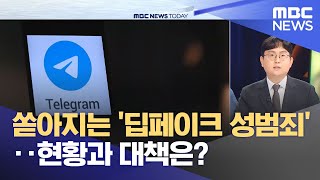 쏟아지는 '딥페이크 성범죄'‥현황과 대책은? (2024.09.03/뉴스투데이/MBC)