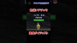 【#ポケモンSV】色違いアチャモ捜索ダイジェスト  #shorts