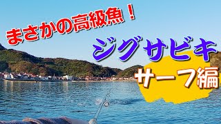 【衝撃！】サーフ内の堤防でジグサビキ釣りをしてみた！開始直後にいきなりナブラが発生して大興奮！？昼間のサーフで意外な釣果が出ました。。