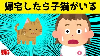 家に帰ったら子猫がいた時の娘の反応が可愛すぎるｗｗｗ