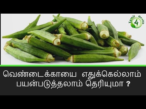 வெண்டைக்காயை எதுக்கெல்லாம் பயன்படுத்தலாம் தெரியுமா? வெண்டைக்காயை எதுக்கெல்லாம் பயன்படுத்தலாம் தெரியுமா?